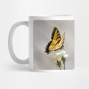 Swallowtail Butterfly Mug